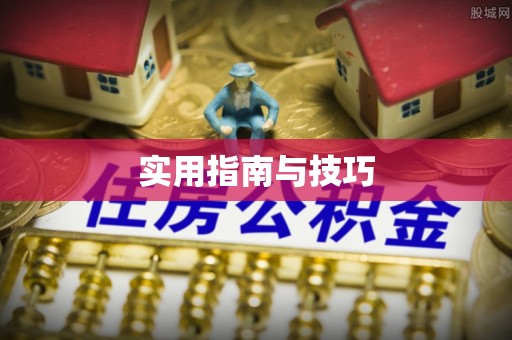 法库实用指南与技巧