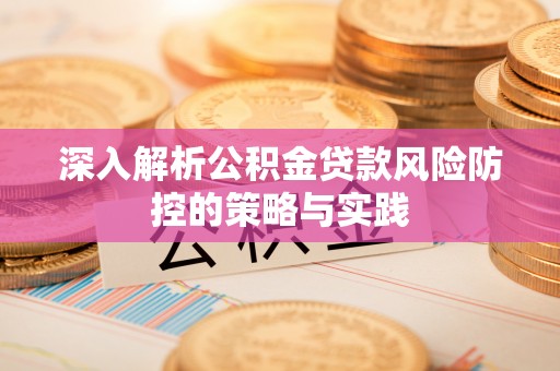 法库深入解析公积金贷款风险防控的策略与实践