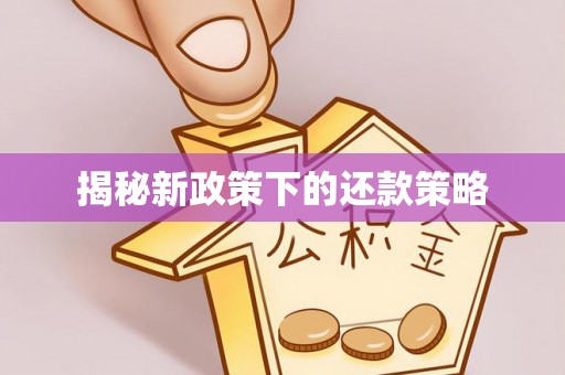 法库揭秘新政策下的还款策略