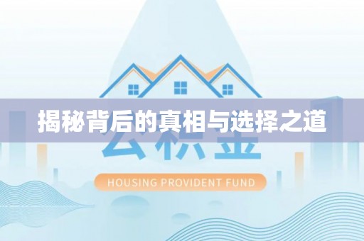 法库揭秘背后的真相与选择之道