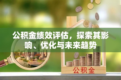 法库公积金绩效评估，探索其影响、优化与未来趋势