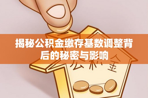 法库揭秘公积金缴存基数调整背后的秘密与影响