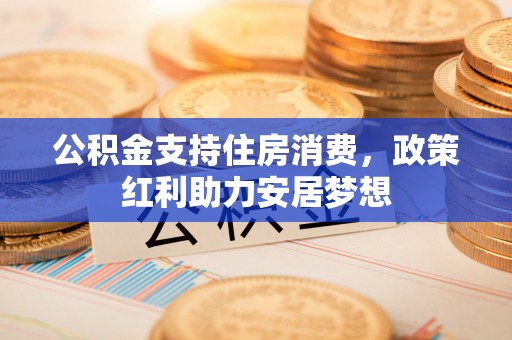 法库公积金支持住房消费，政策红利助力安居梦想