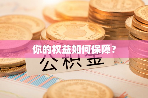 法库你的权益如何保障？