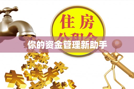 法库你的资金管理新助手