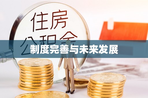 法库制度完善与未来发展