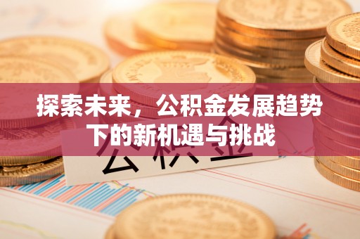法库探索未来，公积金发展趋势下的新机遇与挑战