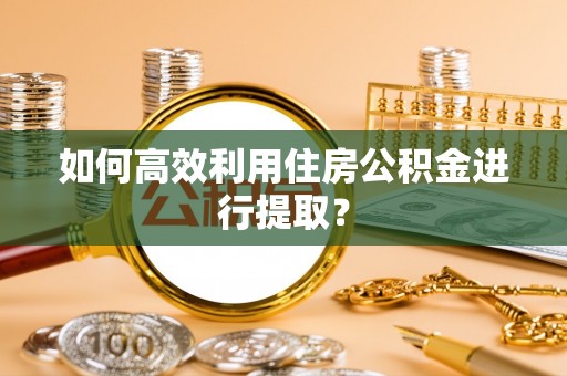 法库如何高效利用住房公积金进行提取？
