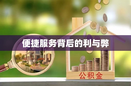 法库便捷服务背后的利与弊