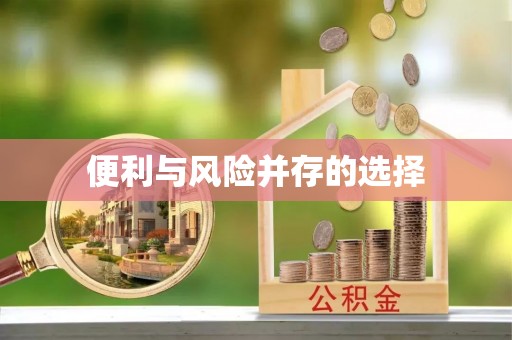 法库便利与风险并存的选择