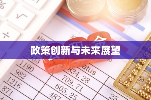 法库政策创新与未来展望